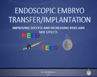 Hysteroscopy embryo.JPG